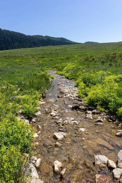 Bir dağ nehrinin yatağında bir yolculuk, bir yaz günü, sığ bir taban ve taşlar güneş ışığında ısınıyor..