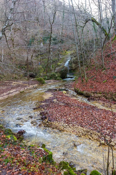 Natural Riverbed Waterfalls Mountain River Autumn Natural Park Walking Picturesque — Foto Stock