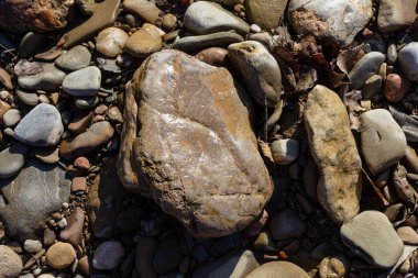 Sonbahar, sabah güneşinin altında, bir dağ nehrinin sığ kumlu dibi, yakın çekim..