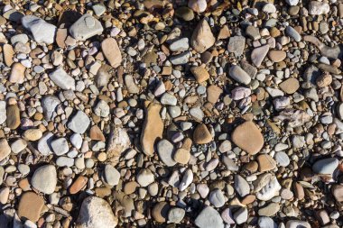 Sonbahar, sabah güneşinin altında, bir dağ nehrinin sığ kumlu dibi, yakın çekim..