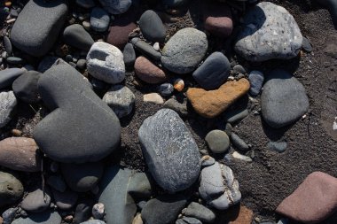 Sonbahar, sabah güneşinin altında, bir dağ nehrinin sığ kumlu dibi, yakın çekim..