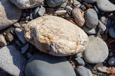 Sonbahar, sabah güneşinin altında, bir dağ nehrinin sığ kumlu dibi, yakın çekim..