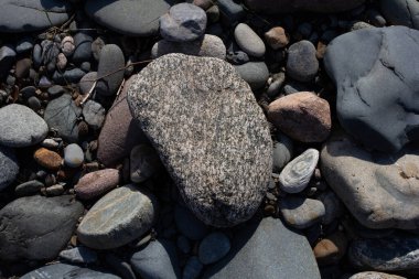 Sonbahar, sabah güneşinin altında, bir dağ nehrinin sığ kumlu dibi, yakın çekim..