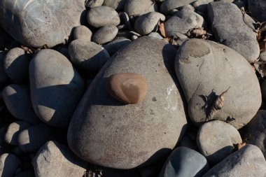 Sonbahar, sabah güneşinin altında, bir dağ nehrinin sığ kumlu dibi, yakın çekim..