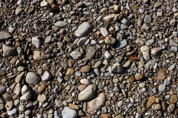 Autumn Shallow Stone Sandy Bottom Mountain River Rays Morning Sun — Stock Photo, Image