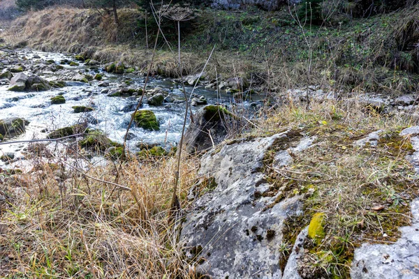 Φθινοπωρινό Πρωινό Περπατώντας Κατά Μήκος Της Κοίτης Ενός Ορεινού Ποταμού — Φωτογραφία Αρχείου