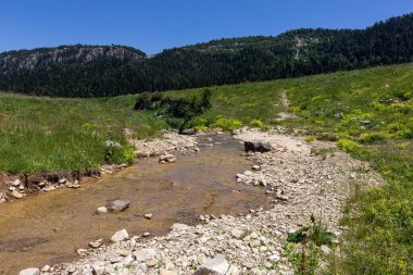 summer morning, walking along the bed of a mountain river that has become shallow by the beginning of the autumn period and exposing its rocky bottom with clear water.