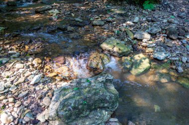 summer morning, walking along the bed of a mountain river that has become shallow by the beginning of the autumn period and exposing its rocky bottom with clear water.