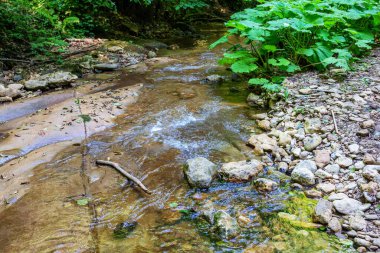 summer morning, walking along the bed of a mountain river that has become shallow by the beginning of the autumn period and exposing its rocky bottom with clear water.