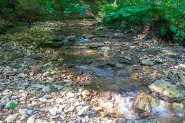 summer morning, walking along the bed of a mountain river that has become shallow by the beginning of the autumn period and exposing its rocky bottom with clear water.
