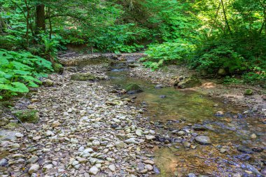 summer morning, walking along the bed of a mountain river that has become shallow by the beginning of the autumn period and exposing its rocky bottom with clear water.