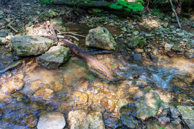 summer morning, walking along the bed of a mountain river that has become shallow by the beginning of the autumn period and exposing its rocky bottom with clear water.