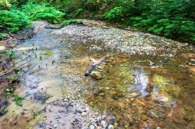 summer morning, walking along the bed of a mountain river that has become shallow by the beginning of the autumn period and exposing its rocky bottom with clear water.