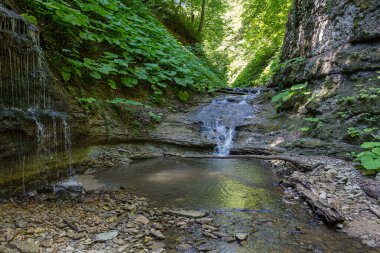 summer morning, walking along the bed of a mountain river that has become shallow by the beginning of the autumn period and exposing its rocky bottom with clear water.