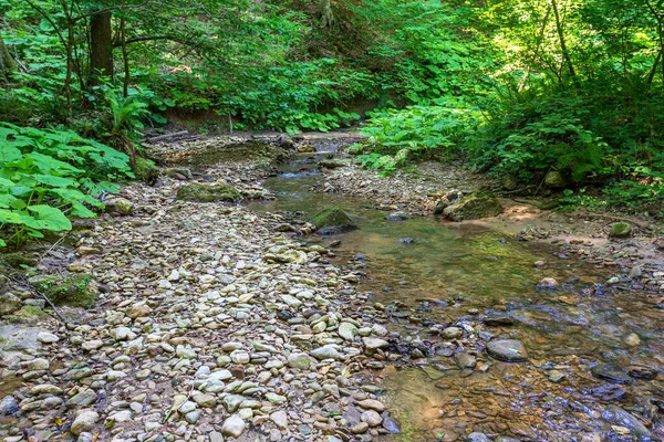 Summer Morning Walking Bed Mountain River Has Become Shallow Beginning — Stok fotoğraf