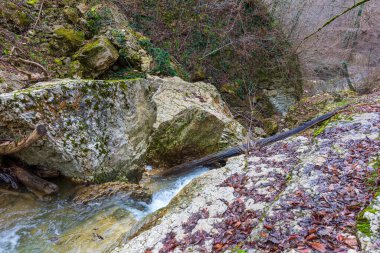 Avrupa 'da dağ nehri kanyonu sonbahar mevsimi sonu