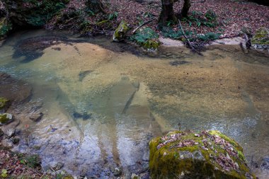 Avrupa 'da dağ nehri kanyonu sonbahar mevsimi sonu