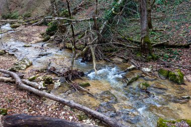 Avrupa 'da dağ nehri kanyonu sonbahar mevsimi sonu