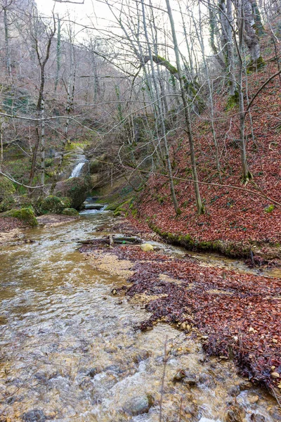 Ngarai Sungai Pegunungan Akhir Musim Gugur Eropa — Stok Foto