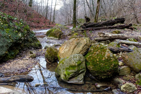 Bergsflodkanjon Sen Höstsäsong Europa — Stockfoto