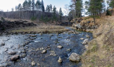 Sonbahar sabahı, kış mevsiminin başlangıcında sığ hale gelen ve kayalık dibini ortaya çıkaran bir dağ nehrinin yatağı boyunca yürürken..