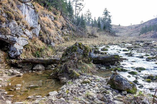 Autumn Morning Walking Bed Mountain River Has Become Shallow Beginning — Stock Photo, Image