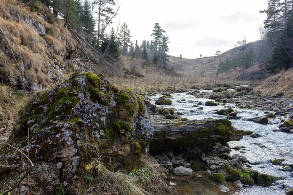 Autumn Morning Walking Bed Mountain River Has Become Shallow Beginning — Stockfoto