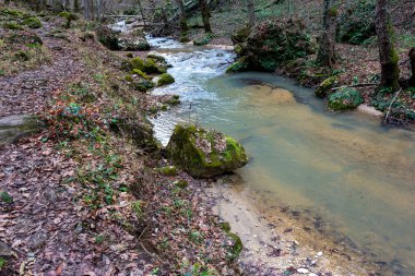 Avrupa 'da dağ nehri kanyonu sonbahar mevsimi sonu