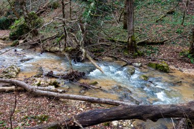 Avrupa 'da dağ nehri kanyonu sonbahar mevsimi sonu