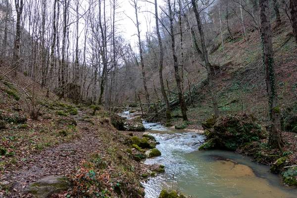 Canyon Montagne Fin Automne Europe — Photo