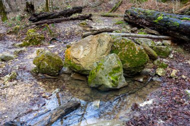 Sonbaharın sonlarında doğal bir parkta, hızlı ve şelaleli doğal bir kanalda bir dağ nehri..