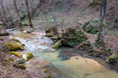 Sonbaharın sonlarında doğal bir parkta, hızlı ve şelaleli doğal bir kanalda bir dağ nehri..