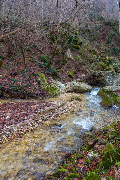 Een Bergrivier Een Natuurlijk Kanaal Met Stroomversnellingen Watervallen Een Natuurpark — Stockfoto