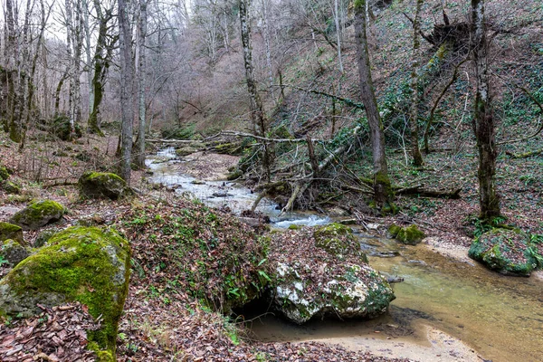 Ein Gebirgsfluss Einem Natürlichen Kanal Mit Stromschnellen Und Wasserfällen Einem — Stockfoto