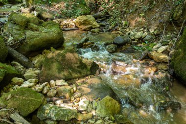 Yaz sabahı, yaz sonu ve gelecek sonbahar dönemi sığ bir nehir yatağı boyunca yürürken kayalık dibini berrak suyla ortaya çıkarır..