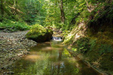 Yaz sabahı, yaz sonu ve gelecek sonbahar dönemi sığ bir nehir yatağı boyunca yürürken kayalık dibini berrak suyla ortaya çıkarır..