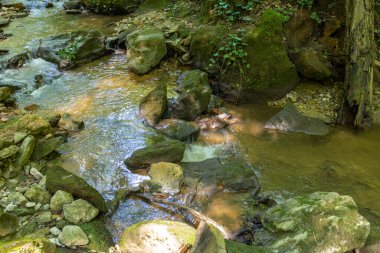 Yaz sabahı, yaz sonu ve gelecek sonbahar dönemi sığ bir nehir yatağı boyunca yürürken kayalık dibini berrak suyla ortaya çıkarır..