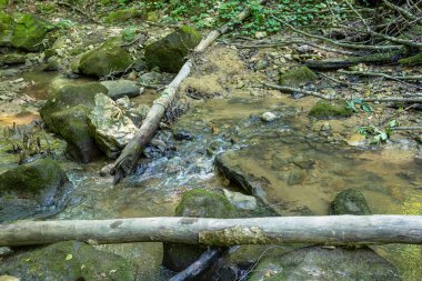 Yaz sabahı, yaz sonu ve gelecek sonbahar dönemi sığ bir nehir yatağı boyunca yürürken kayalık dibini berrak suyla ortaya çıkarır..