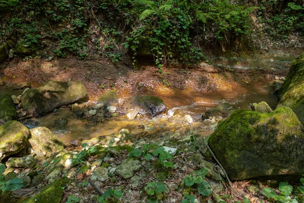 Καλοκαιρινό Πρωινό Περπατώντας Κατά Μήκος Της Κοίτης Ενός Ορεινού Ποταμού — Φωτογραφία Αρχείου