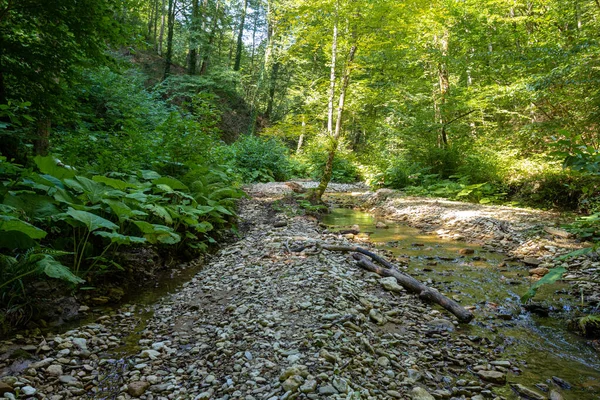 Summer Morning Walking Bed Mountain River Has Become Shallow End — Stock Photo, Image