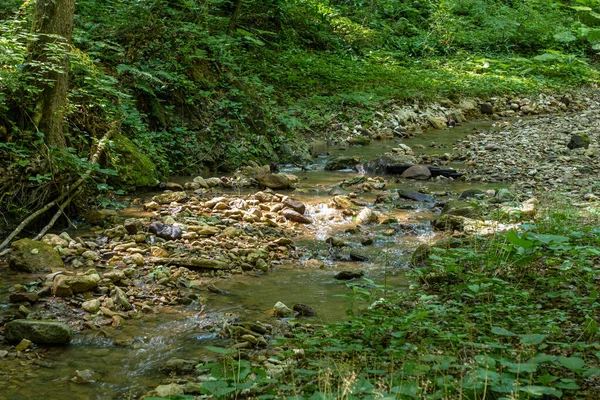 Mattina Estate Camminando Lungo Letto Fiume Montagna Che Diventato Poco — Foto Stock