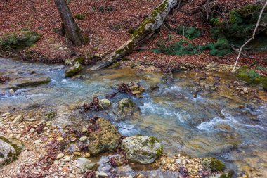 Avrupa 'da dağ nehri kanyonu sonbahar mevsimi sonu