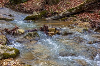 Avrupa 'da dağ nehri kanyonu sonbahar mevsimi sonu