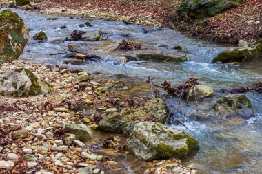 Avrupa 'da dağ nehri kanyonu sonbahar mevsimi sonu