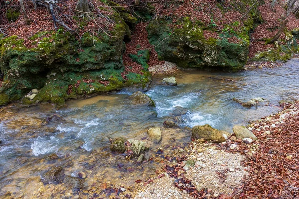 Gebirgsschlucht Spätherbst Europa — Stockfoto