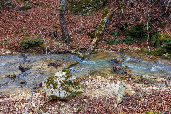 Bergsflodkanjon Sen Höstsäsong Europa — Stockfoto