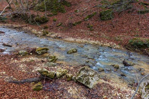 Kaňon Horské Řeky Pozdní Podzimní Sezóna Evropě — Stock fotografie