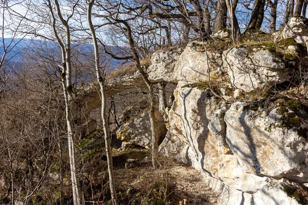 Зимний Горный Лес Расположенный Хребте Туристического Маршрута — стоковое фото