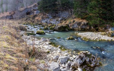 Sonbahar sabahı, kış mevsiminin başlangıcında sığ hale gelen ve kayalık dibini ortaya çıkaran bir dağ nehrinin yatağı boyunca yürürken..
