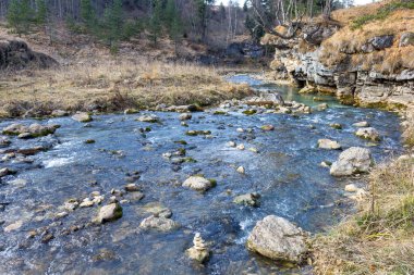 Sonbahar sabahı, kış mevsiminin başlangıcında sığ hale gelen ve kayalık dibini ortaya çıkaran bir dağ nehrinin yatağı boyunca yürürken..